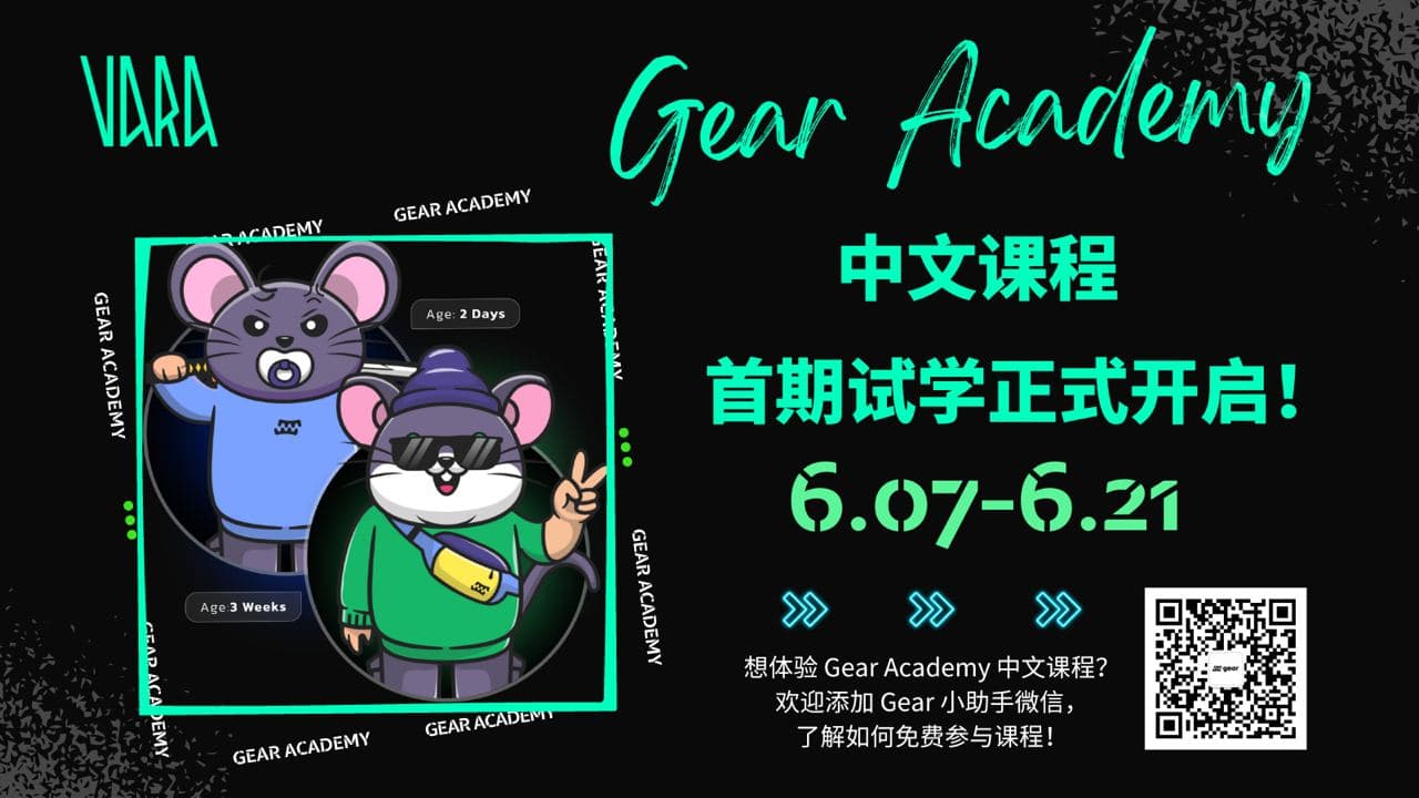 The first phase of the Gear Academy Chinese