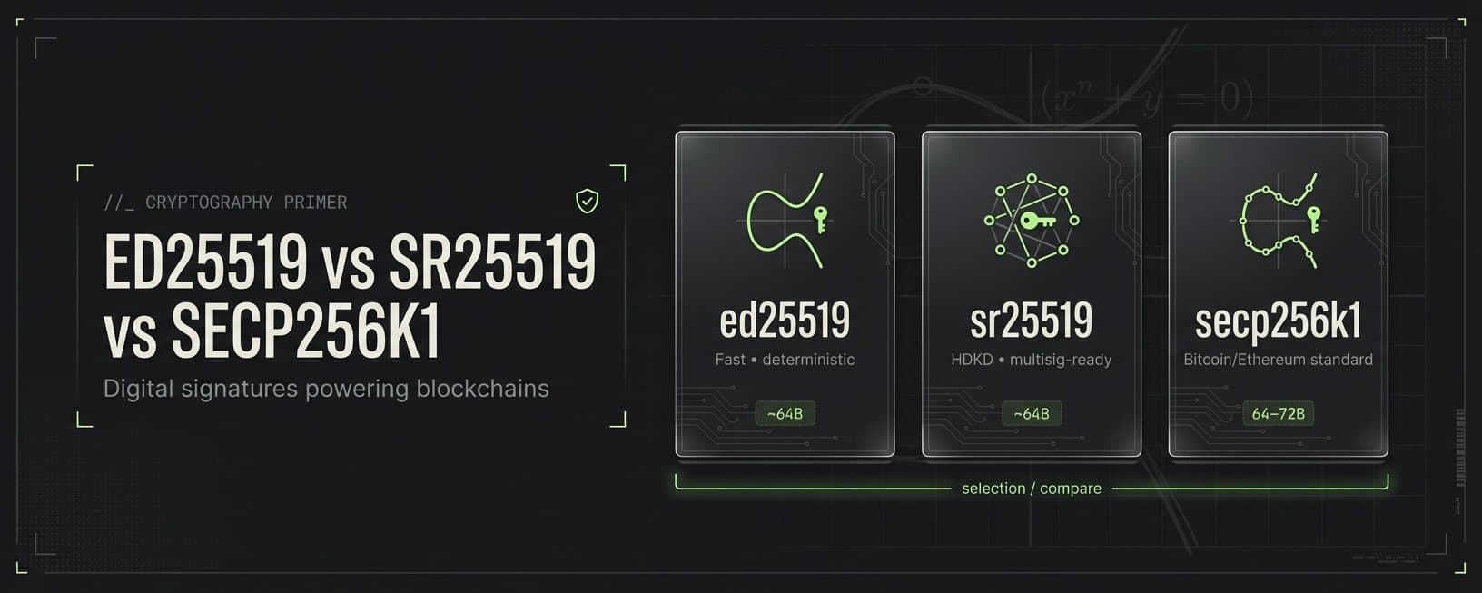 The Cryptography Behind Blockchain Signatures: ed25519, sr25519, and secp256k1 Explained